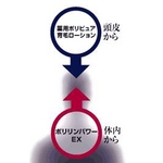 �ݥ���ѥEX
