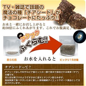 チアチョコリッチ500g