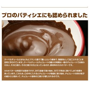 割れチョコ ビター 800g 【クーベルチュールチョコレート】 商品写真2