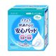 ナチュラ 快滴さらり 安心パッド 少量用 32枚 【24セット】