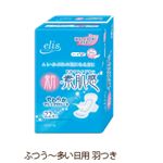 エリス 新・素肌感 ふつう〜多い日の昼用 羽つき22枚×2P 【18セット】