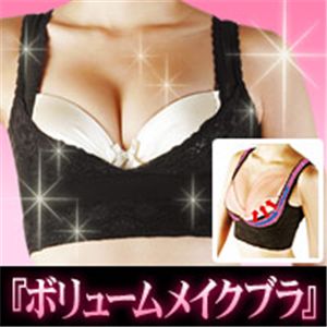 �{�����[�����C�N�u�� L