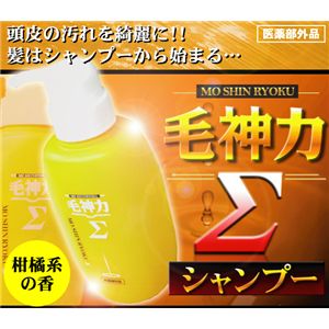 毛神力Σ（モウシンリョクシグマ）シャンプー 【3個セット】