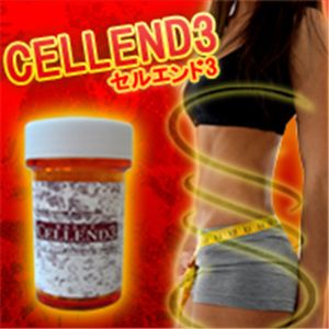 �Z���G���h3 6��