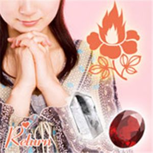 ���u�`���[�� ���^�[�� �y6�Z�b�g�z