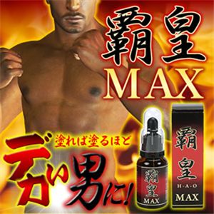 �e�c�i�͂����jMAX