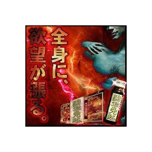 闘宝真起(とうほうしんき)-東洋の神秘シリーズ-