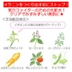 イオナ ヴェール ヴィーホワイト クリアウォーター - 縮小画像4