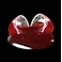 �ɐ�-�y�f �G���U�C���V�X�e�� RED