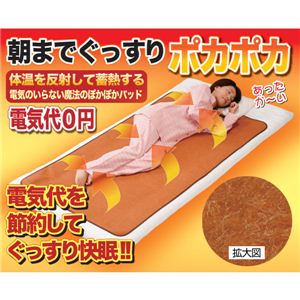 蓄熱ほかほか敷きパッド - 拡大画像