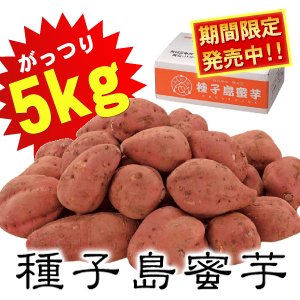 夢百笑 種子島蜜芋 5Kg 【安納芋（あんのういも）】