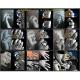 【スカルKR Small Type 】 Keith Skull Ring キーススカルリング/Dice スカルKR79 14号 - 縮小画像5