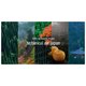 アットアロマ　100%ピュアエッセンシャルオイル　botanical air japan ５本セット　10ml、各5本 - 縮小画像2