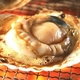 【10月31日で終了】陸奥湾産　朝揚げホタテ　3ｋｇ（20枚前後） - 縮小画像1