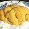 炭火焼きウニ　約70g×3個