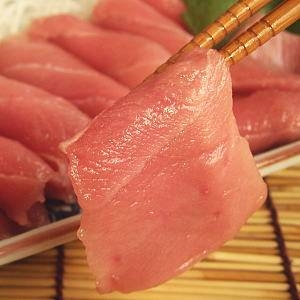天然本マグロ【中トロ】