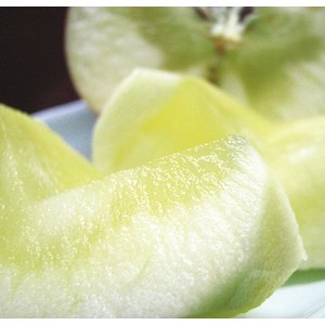 【葉とらずりんごのりんごジュース】林檎園:ストレート果汁100%　1000ml×6本 商品写真2