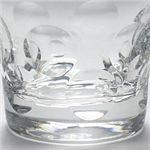 Baccarat (oJ) xK ^u[ (2pcsZbg) 2104387 摜3