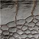 メンズ 通販>Nicola Ferri (ニコラフェリー) CLHAZZ04 2ツオリカード DB 写真5