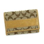<img src=