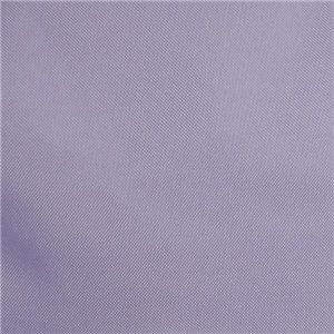 Longchamp(ロンシャン) ショルダーバッグ Le Pliage 2324 568 VIOLET