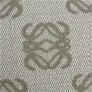 Loewe(ロエベ) ショルダーバッグ ANAGRAM COATED CANVA 368.80.A11 CITA 25 ライトグレー