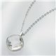 Swarovski(スワロフスキー) ペンダント ペンダント 1046977 C38/42.5