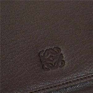 Loewe（ロエベ） 長財布 AMAZONA 113.95.C18 3270 ブラウン/ダークブラウン