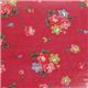 CATH KIDSTON（キャスキッドソン） 長財布 324137 ベージュ／オレンジ - 縮小画像5