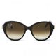 Chloe（クロエ） サングラス SUNGLASS CL2261 C02 CHOCOLATE - 縮小画像2