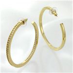 Swarovski(スワロフスキー) ピアス 1075332