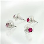 Swarovski（スワロフスキー） イヤリング／ピアス イヤリング／ピアス 1111908