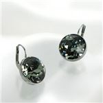Swarovski（スワロフスキー） ピアス 1035648