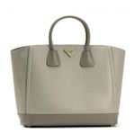 Prada（プラダ） ハンドバッグ B2454B KHR GREISH BROWN／GREY