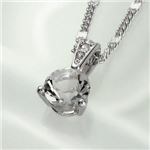 Swarovski（スワロフスキー） ペンダント／ネックレス 1800045