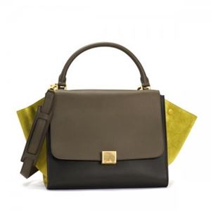Celine（セリーヌ） ハンドバッグ 16954 15KA