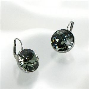 Swarovski（スワロフスキー） ピアス 1035648