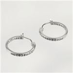 【9月15日まで限定販売】Swarovski（スワロフスキー） ピアス 1172374