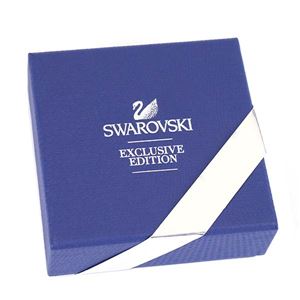 Swarovski(スワロフスキー) ペンダント/ネックレス&ピアスセット 5139084 商品写真2