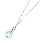 Swarovski（スワロフスキー） ペンダント／ネックレス 5071712