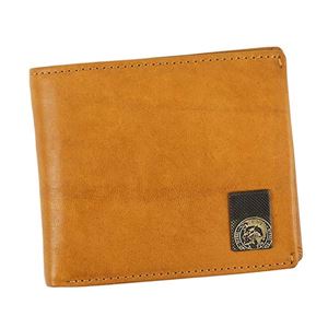 DIESEL(ディーゼル) 二つ折り財布(小銭入れ付) X04480 T2216 CASHEW 商品画像