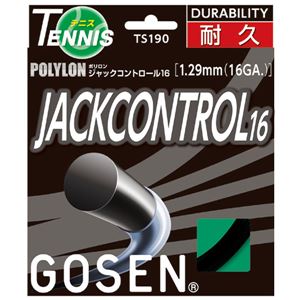 GOSEN（ゴーセン） ジャックコントロール16 TS190BK - 拡大画像