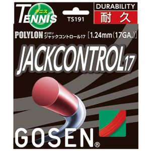 GOSEN（ゴーセン） ジャックコントロール17 TS191R