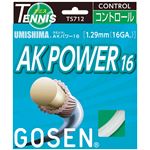 GOSEN(ゴーセン) ウミシマ AKパワー16 (20張入) TS712W20P