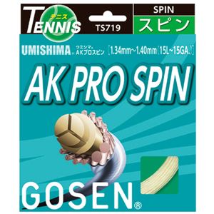 GOSEN（ゴーセン） ウミシマ AKプロスピン TS719NA - 拡大画像