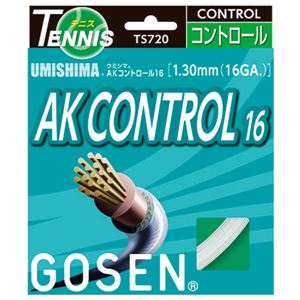GOSEN（ゴーセン） ウミシマ AKコントロール16 TS720W - 拡大画像