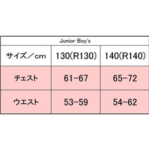 デサント ARENA(アリーナ) TOUGH SUIT ショートボックス ジュニア FSA7619J Kブラック×ターコB×Nホワイト×ターコ R140サイズ 商品写真2