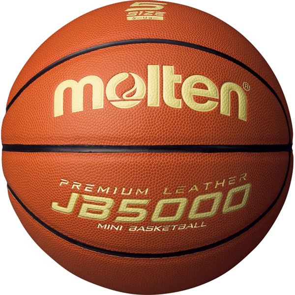 (モルテン Molten) ミニバス バスケットボール (5号球 軽量) 人工皮革 JB5000 B5C5000L (運動 スポーツ用品) b04
