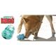 【ペット用】KONG (コング) トレーニング トーイ パピー コング M - 縮小画像2