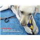 【ペット用】Nylabone パズルボーン M - 縮小画像2